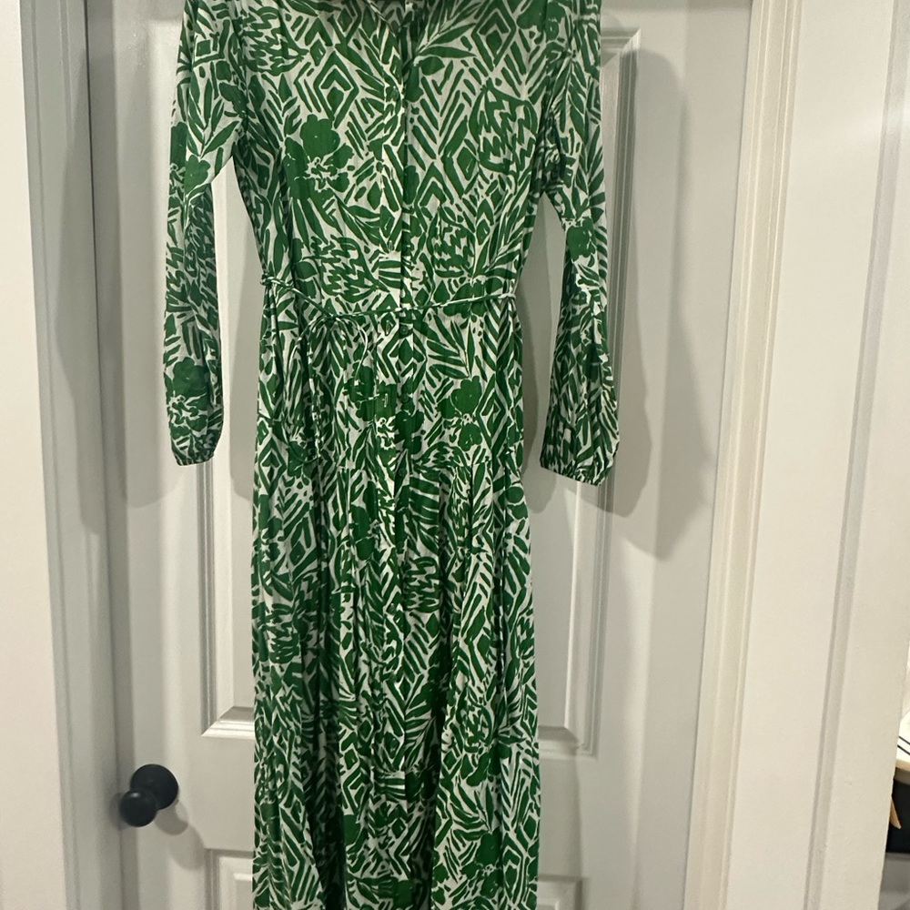 Zara Green and White Long Sleeve Printed Maxi Dress